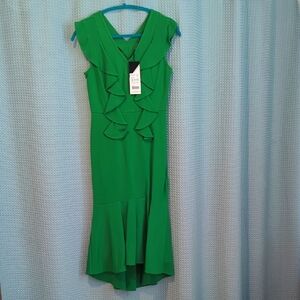 NWT Sz XS Elegant Green Ruffle Dress
